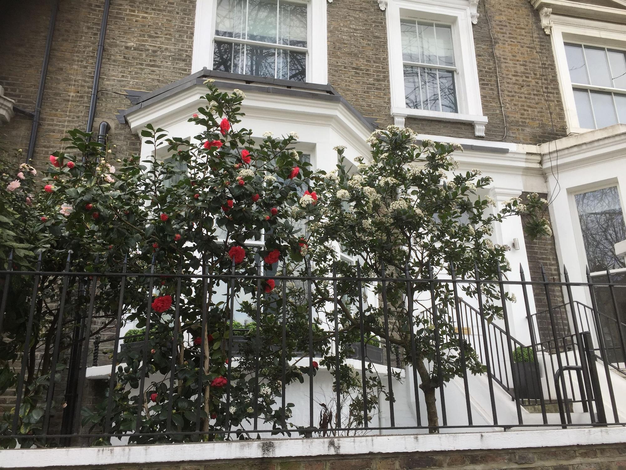 Luxurious Apartment In Kensington & Chelsea Лондон Екстер'єр фото
